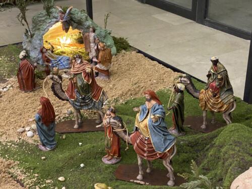 1CFABB7C-CEBA-4502-91D6-CF3E81D070E8 1 105 c