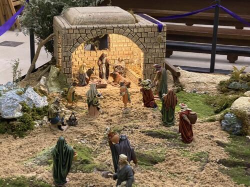 50B955C4-10A3-43F6-9D85-DBF05AF9848D 1 105 c