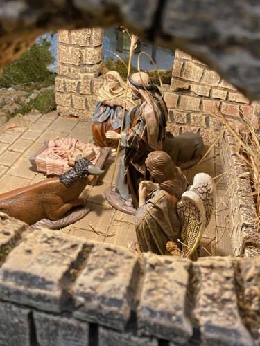 D48448A0-5350-4077-900C-606D2DF30478 1 105 c