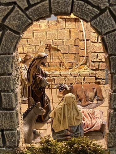 FFC0537E-342A-41F6-8B3B-C1117C189507 1 105 c